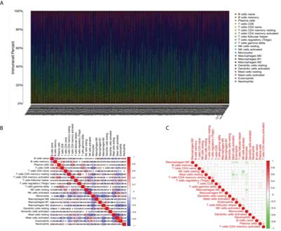 Construction of immune cell infiltration protein network based on clinical low grade glioma cases